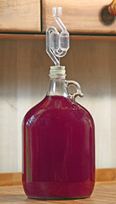 Fermenting In A Gallon Glass Carboy