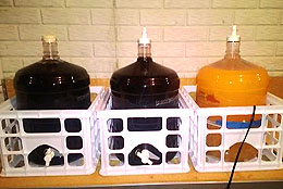Homemade Wine Fermenting A Different Rates