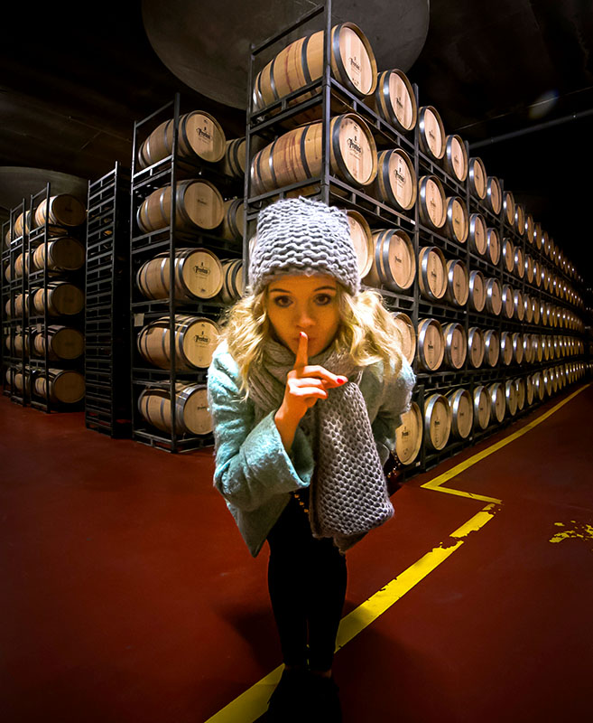 Wine aging store fridge