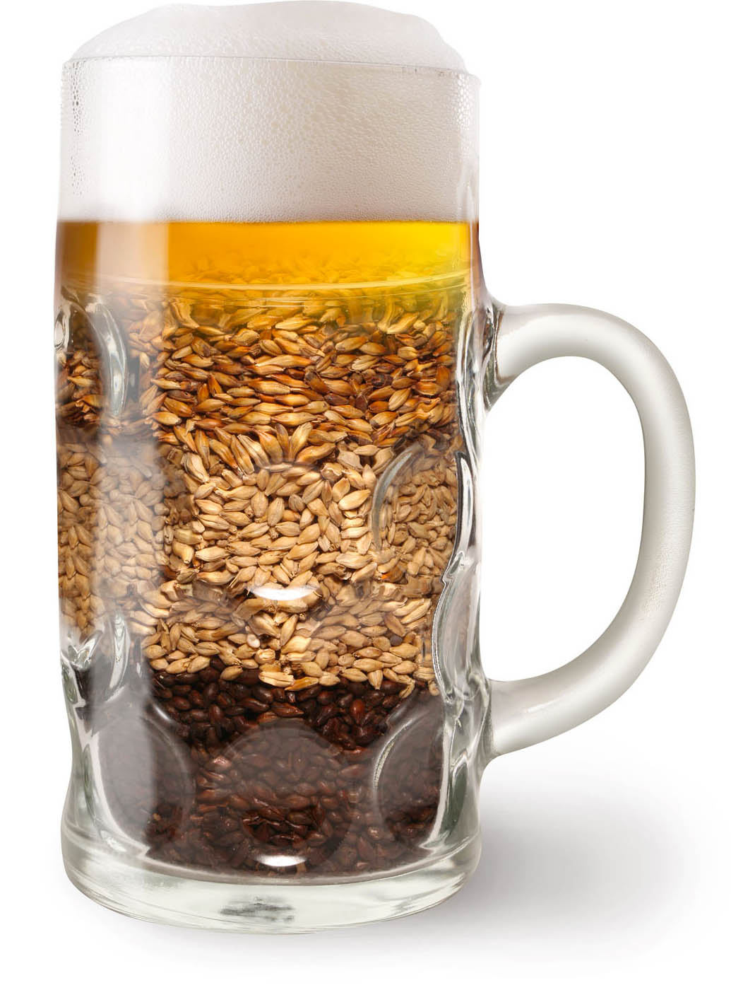 Barley With Diastatic Power In Beer Mug