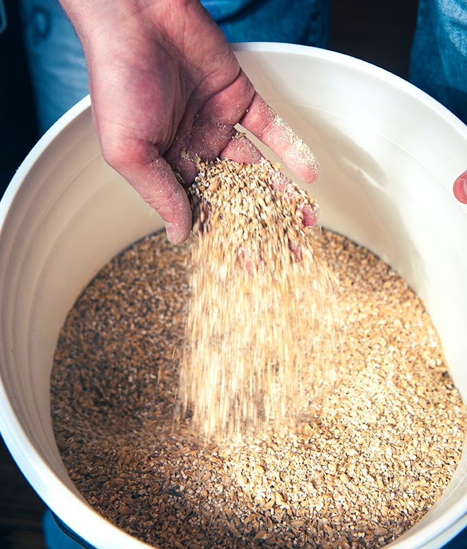 Crushed grains for all-grain brewing