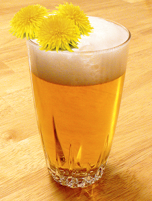 Dandelion Beer Recipe