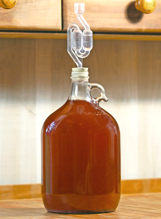 Gallon Of Beer Ready To Be Bottled.