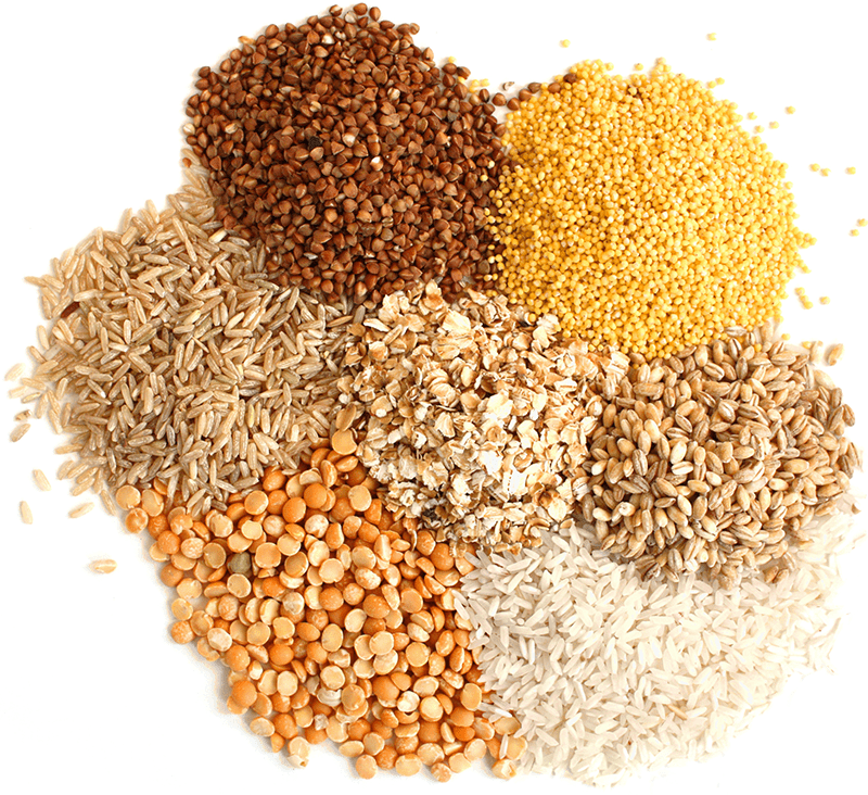 Gluten Free Grains For Home Brewing