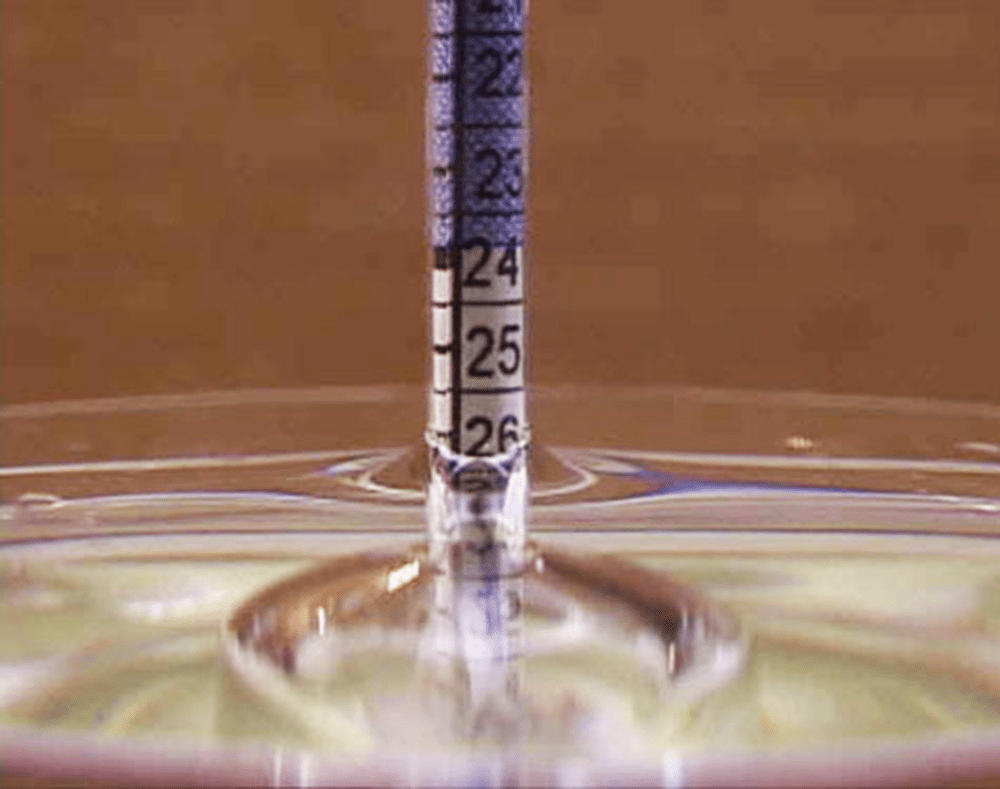 Hydrometer Giving Reading