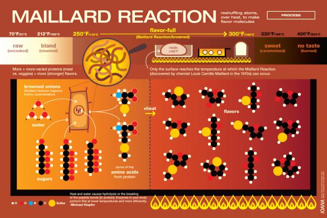 Maillard Reaction Graphic