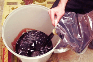 making red wine