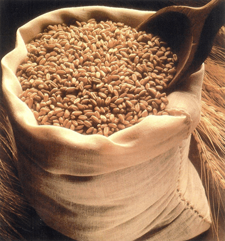 Malted Wheat For Home Brewing