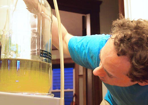 Man Siphoning Wine From Carboy