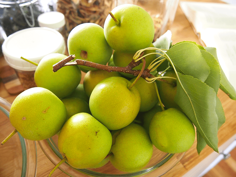 pear wine brands