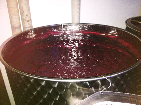 Wine Fermenting In A Stainless Steel Fermenter