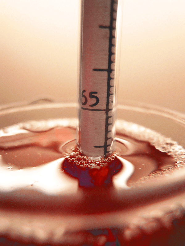 How Does A Wine Hydrometer Work at Lydia Christopher blog