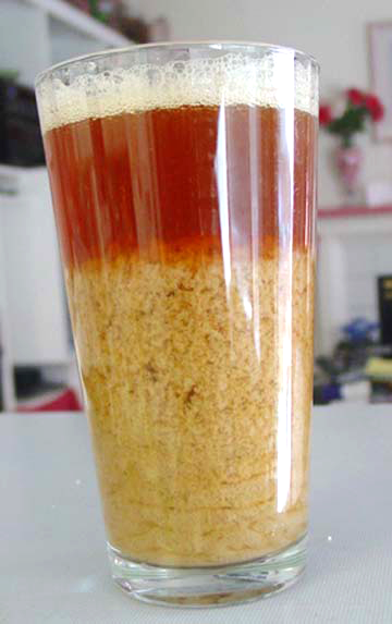Yeast From Primary Fermenter