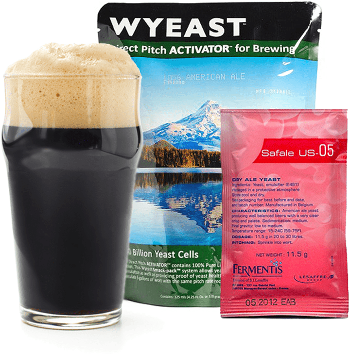 Yeast for Brewing High Gravity Beer