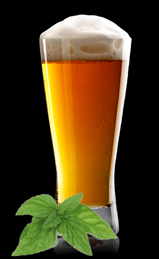 Honey Basil Saison