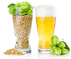 Beer, Barley, Hops