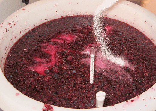 This is Homemade Fruit Wine That Is Not Fermenting