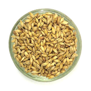 Malted Barley