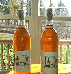 Homemade Persimmon Wine