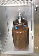 Carboy in Dedicated Refrigerator