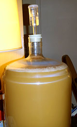 Carboy Full Of Homemade Wine
