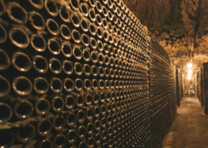 bottles of wine in a cellar