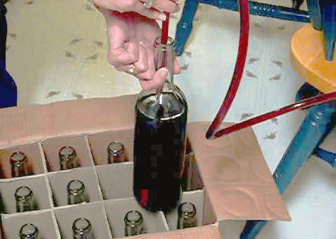 Bottling Wine