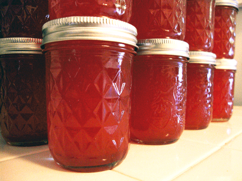 https://blog.homebrewing.org/wp-content/uploads/2021/02/fruit_juice_in_canning_jars.png