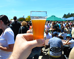 Homebrew Festival