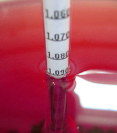 Hydrometer In Red Wine