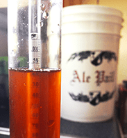 Taking A Hydrometer Reading of Beer Recipe Kit