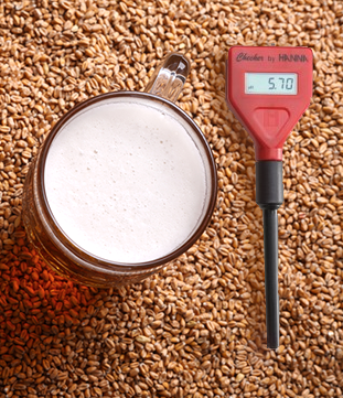 A pH Meter For Brewing Beer
