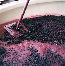 Stirring A Slow Wine Fermentation