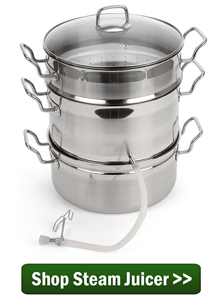 Norpro Stainless Steel Steam Juicer